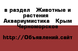  в раздел : Животные и растения » Аквариумистика . Крым,Черноморское